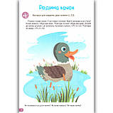 Професор з пелюшок Розвиток мовлення для малюків 2-3 років Авт: Фісіна А. Вид: Торсінг, фото 2