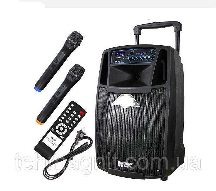 Колонка з мікрофонами Temeisheng SL12-01