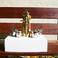 Огнетушитель-бар "Именная Всегда Прав" подарочный набор в красивой упаковке. Огнетушитель + 6 рюмок.