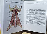 Никитюк Д. Б., Сапіна М. Р. Кишеньковий атлас анатомії людини 7-е видання 2018 рік, фото 2