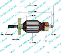 Якорь на дисковую пилу Ижмаш Profi ИЦП-2450