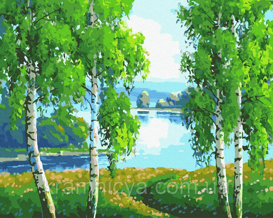 Картина за номерами 40x50 Березовий гай (GX39399), фото 1