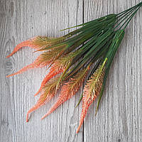 Куст вероника оранжевой, 6 веток, 40 см