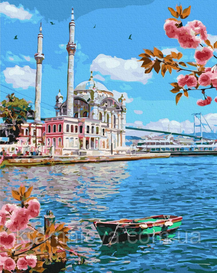 Картина за номерами 40x50 Неймовірна Туреччина (GX37783)