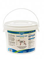 Canina Canhydrox GAG (Каніна Кангідрокс ГАГ) хондропротектор для кісток для собак і кішок у разі дефіциту Са та P
