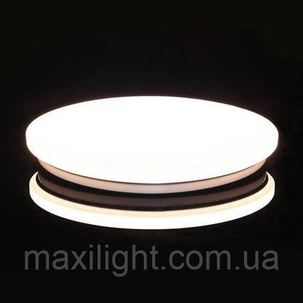 LED світильник BIOM 24W стельовий накладний 5000К(DEL-R102-24-4-DIY) без Д/У ЗМІННИЙ ДЕКОР, фото 1