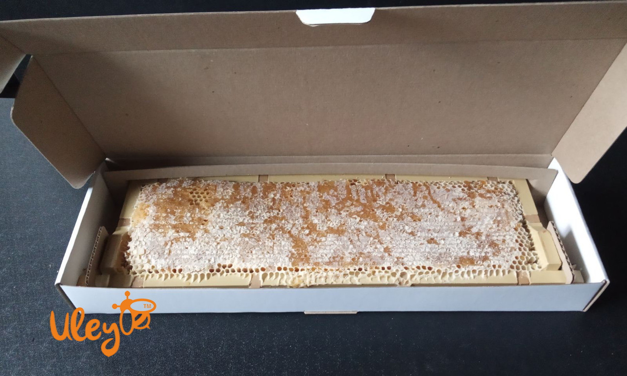 Коробка для Сотового меду (МАГАЗИННА 470х145), фото 1