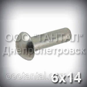 Заклепка Ø6х14 сталева ГОСТ 10299-80, DIN 660, ISO 1051 з напівкруглою головкою оцинкована