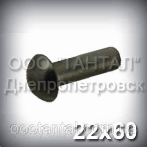Заклепка Ø22х60 сталева ГОСТ 10299-80, DIN 660, ISO 1051 з напівкруглою головкою