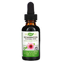 Ехінацея 500 мг Nature's Way Echinacea Alcohol Free для зміцнення імунітету 99,9% без спирту 30 мл