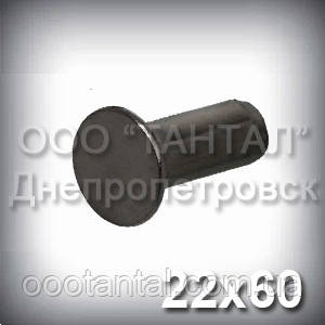 Заклепка Ø22х60 сталева ГОСТ 10300-80, DIN 302, DIN 661, ISO 1051 з потайною головкою, фото 1
