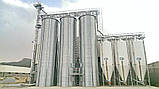 Завод по производству комбикорма 5 т/ч MIAL, фото 4