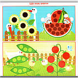 Підбери наліпки за розміром На городі Вид: Торсінг, фото 2