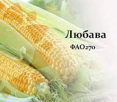Насіння кукурудзи Любова (25 кг)