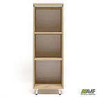 Пенал книжковий відкритий Delta DL-603 (434х420х1292мм) Блеквуд Ячмінний / Опора білий беж, фото 2