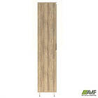 Гардероб Delta DL-906 (550х420х2078мм) Блеквуд Ячмінний / Опора білий беж, фото 3