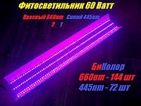 Фито LED Светильник Биколор 60 Вт, Красный 660 nm/Синий 445nm (2:1)