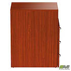 Тумба приставна SL-402 (400х600х750мм) в'яз Ліберті, фото 2