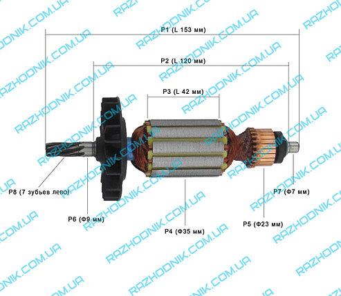 Якір на перфоратор Sturm RH2592P