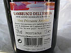 Вино червоне ігристе Donelli Lambrusco dell'emilia Amabile 7.5% 1,5 л Італія, фото 4
