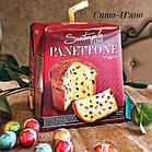 Випічка Панеттоне Класична Panettone Santangelo 500 г Італія, фото 4