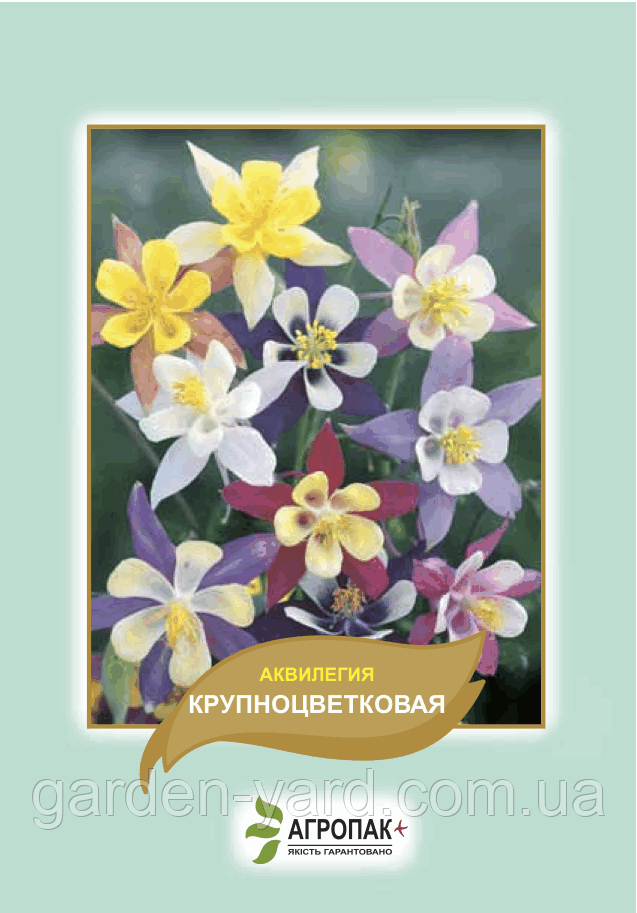 Насіння квітів Аквілегія великобарвна 0,2 г Агропак плюс
