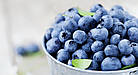 Печиво з чорницею і кокосом Old Denmark Blueberry в ж/б 150 г Данія, фото 3