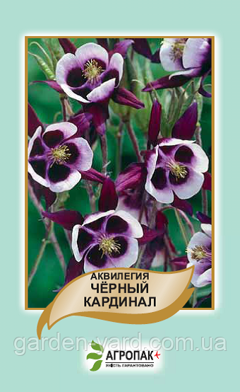Насіння квітів Аквілегія Чорний Кардинал 0,1 р. Агропак плюс