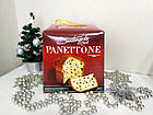 Випічка Панеттоне Класична Panettone Santangelo 908 г Італія, фото 2