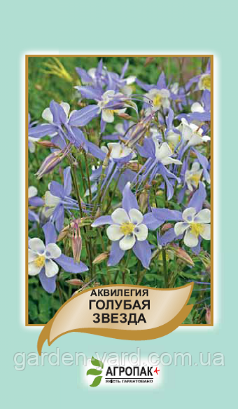 Насіння квітів Аквілегія Блакитна зірка 0,2 г. Агропак плюс