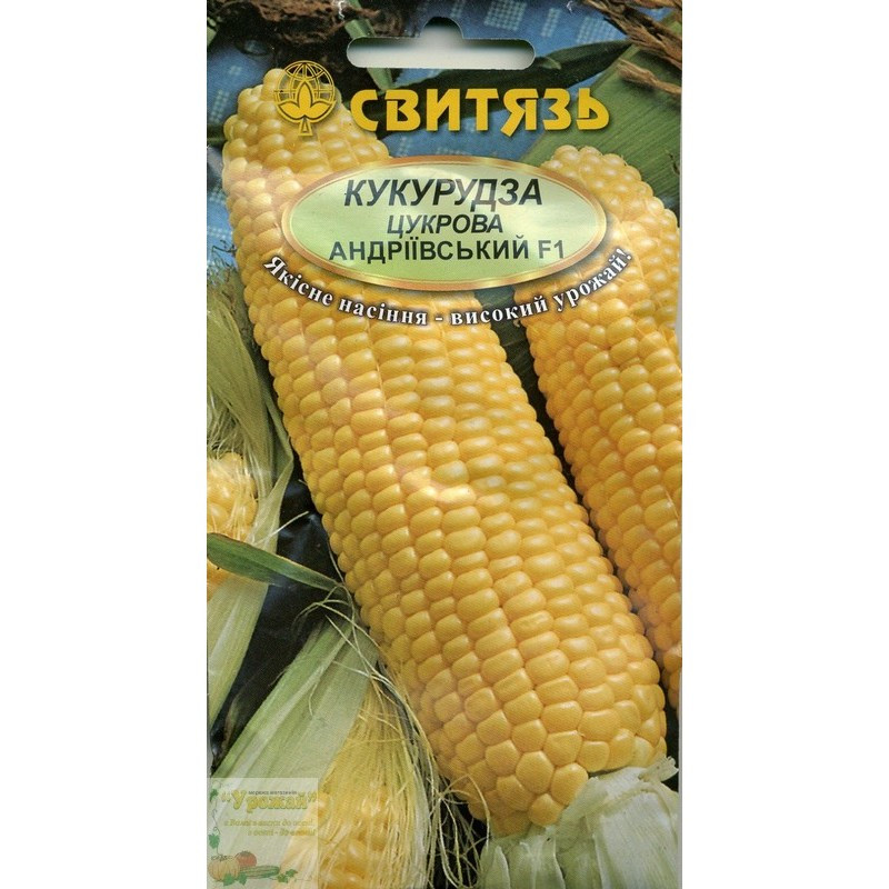 Семена кукуруза сахарная Андреевский F1, 15 семян - фото 1 - id-p998139981
