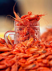 Креветки чорноморські