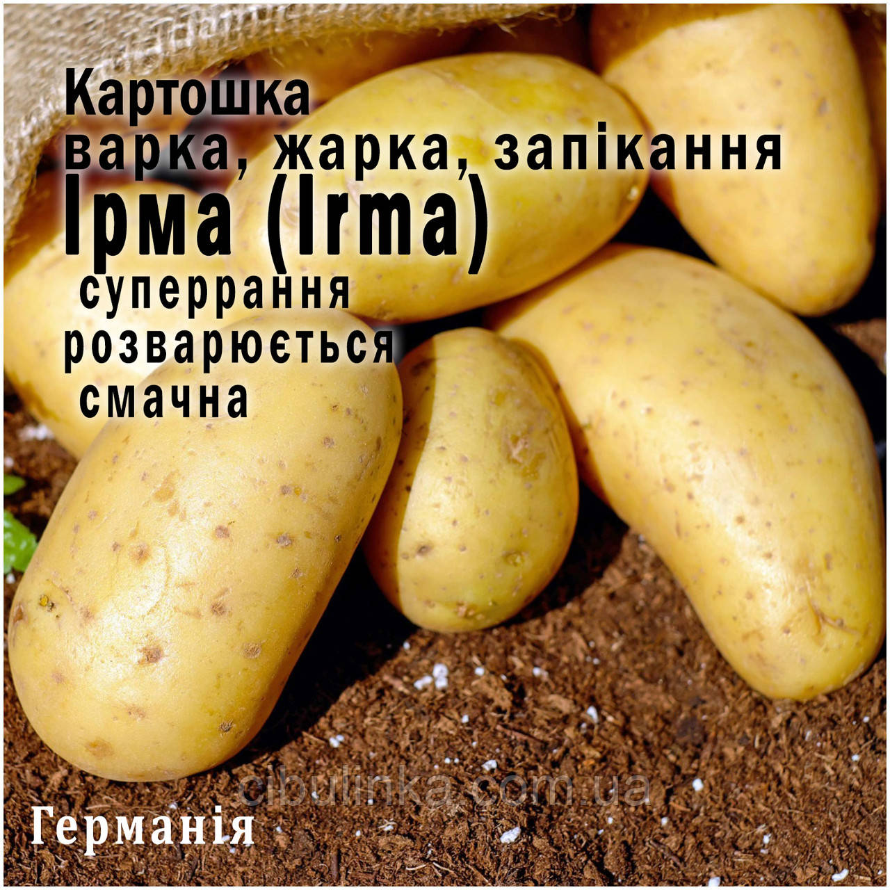 Німеччина. Картопля насінню сорт Ірма (36 дніввка) суперранна, варіння, смаження, запікання, 1 кг
