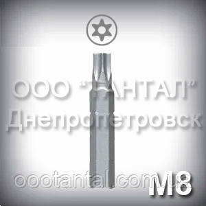 Біта М8 шліц Security Torx — насадка для викрутки до гвинтів антивандальним М8
