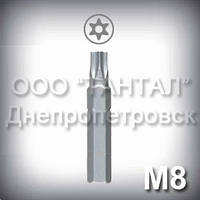 Біта М8 шліц Security Torx — насадка для викрутки до гвинтів антивандальним М8