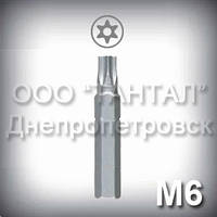 Біта М6 шліц Security Torx — насадка для викрутки до гвинтів антивандальним М6