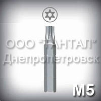 Біта М5 шліц Security Torx — насадка для викрутки до гвинтів антивандальним М5
