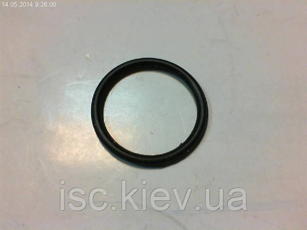 Кільце ущільнювальне AL-KO HWF 1000 462781, фото 1