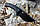 Міський (EDC) ніж жнець blade brothers knives, фото 5