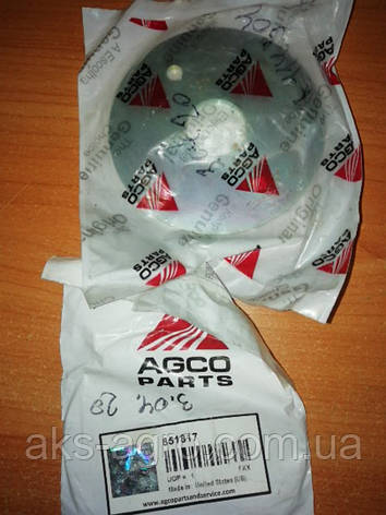 851817 Шайба - AGCO, фото 1