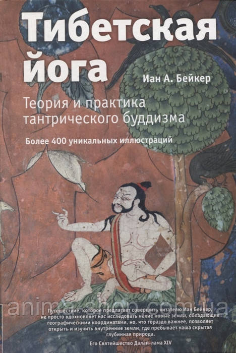 Тибетська йога. Теорія і практика тантричного буддизму. Бейкер В.