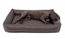 Будинки, на які місця, лежанки для собак