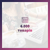 Prom продажі Pro 6000 товарів