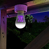 Антимоскітна світлодіодна лампочка Noveen IKN803 LED, фото 4