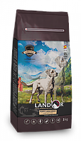 Сухий корм Landor (Ландор) Рuppy LARGE BREED LAMB & RICE 15 кг для цуценят великих порід з ягням та рисом