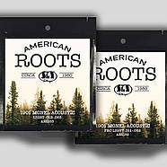 Струни SIT AR1152 American Roots Monel Acoustic Guitar Strings Pro Light 11-52 для акустичної гітари, фото 3