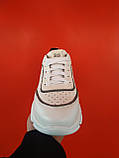 Стильні жіночі білі шкіряні кросівки 36-41 р-р, фото 8