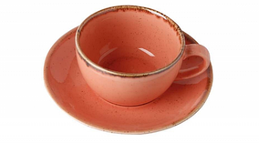 Чашка чайна 200 мл з блюдцем Seasons Orange Porland