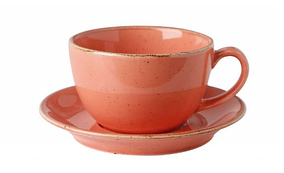Чашка чайна 320 мл з блюдцем Seasons Orange Porland