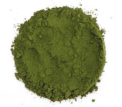 Хлорела (Chlorella) в порошку 1 кг, PL